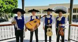 Mariachi Alma Mexicana Show foto 1