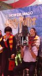 MAGOS: SORPRENDENTE HARRY POTTER_1