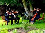MUSICA PARA BODAS - Djs - AMBI foto 1