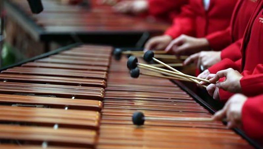 marimba ***.***.*** 0