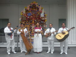 Jarochos,Grupo Jarocho,Sones J_0