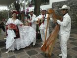 MUSICA VERACRUZANA,JAROCHOS,SO foto 1