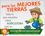 ¡Ya lo Encontré! – Fácil  foto 1