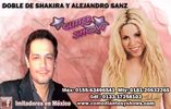 doble de Shakira oficial foto 1