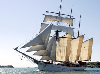 segelschiffe chartern auf ostsee 2