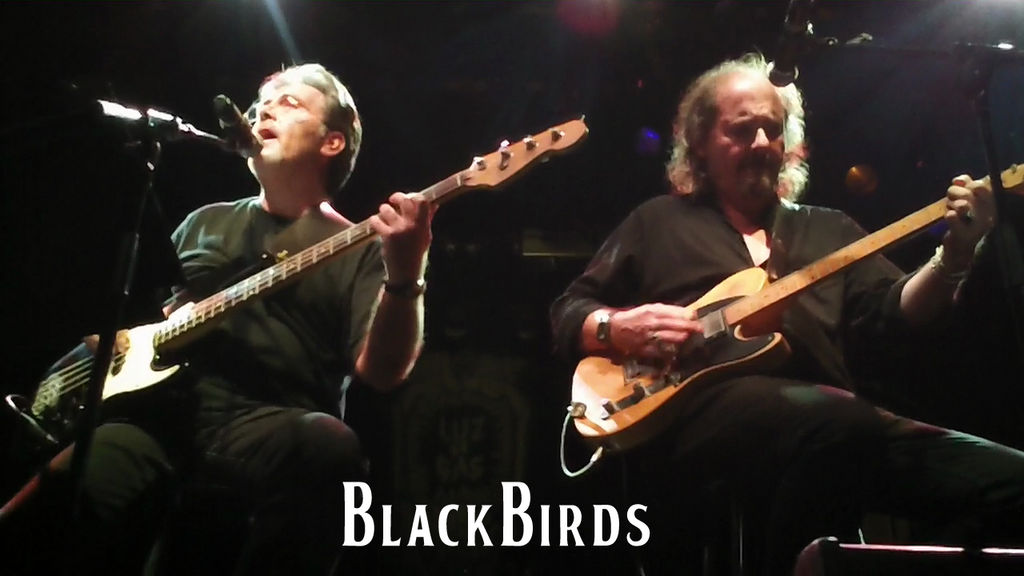 blackbirds 0