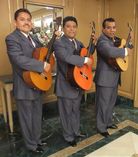 Trio los Selectos ($1800,00) T_1