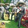 Fotos de Mariachis 2