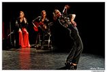 Ana Barba  Flamenco y Musica de Fusión foto 2