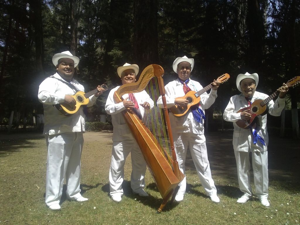 sones coplas  jarocho son de v 0