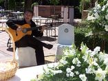 Armando Guitarrista clásico y flamenco foto 1