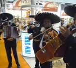 Mariachis _2