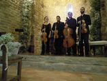 MÚSICA DE VIOLÍN EN TU BODA Y EVENTO foto 2