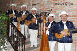 Grupo Jarocho los mejores para tu fiesta foto 2