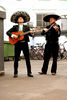 Fotos zu Mariachi Band 1