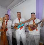 Grupo jarocho Los marineros de foto 1