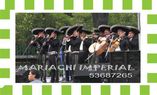 mariachis serenatas en benito juarez