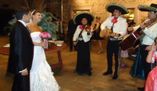 Mariachi profesional_2