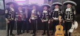 Mariachi Sol de Galicia  foto 2