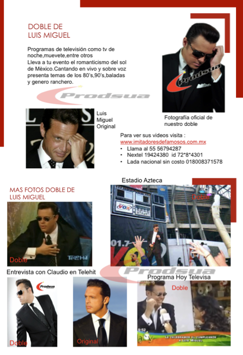 imitador y doble de luismi 1