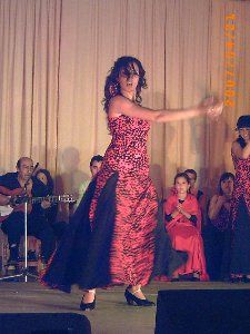 sangre flamenca 0