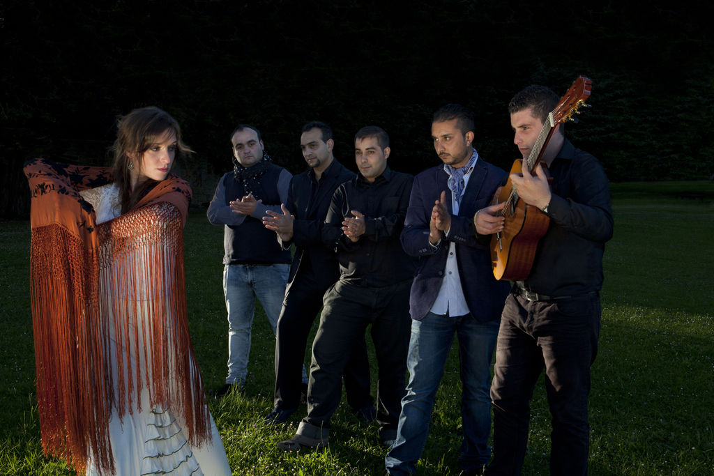 son de flamenco 0