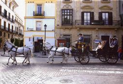 Carruajes Jerez_0