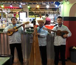 Jarocho pará eventos 