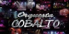 Orquesta Cobalto_0