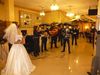 mariachis piura - los gallos -