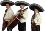 Mariachi profesional_1