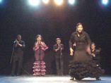 FLAMENCO _1