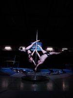 Pole Akrobatik diverse Shows