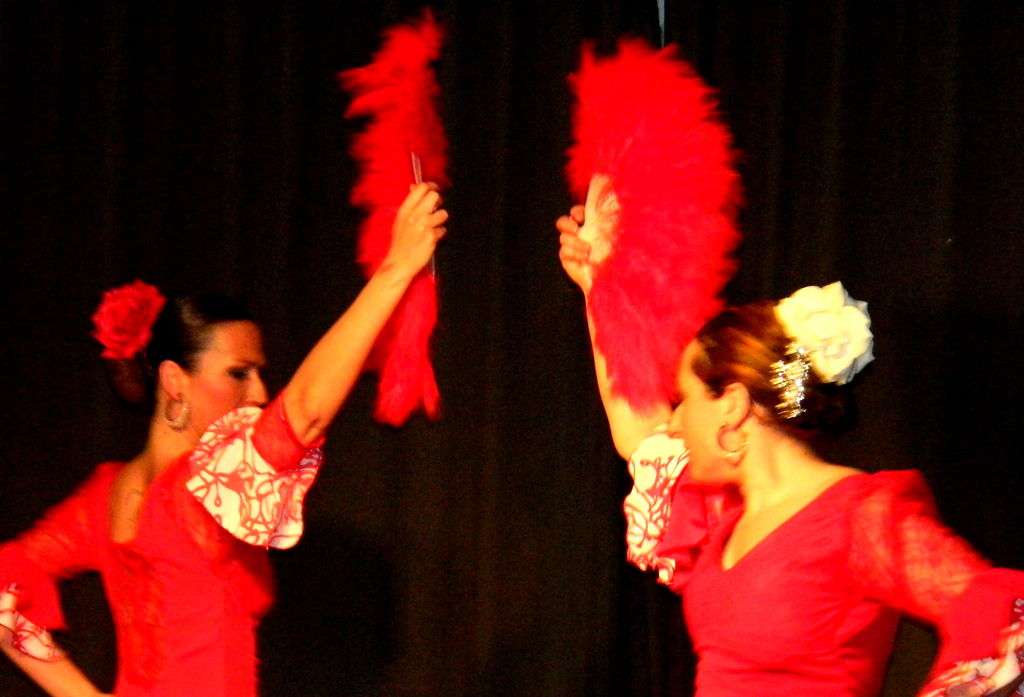 cuadro flamenco embrujo 1