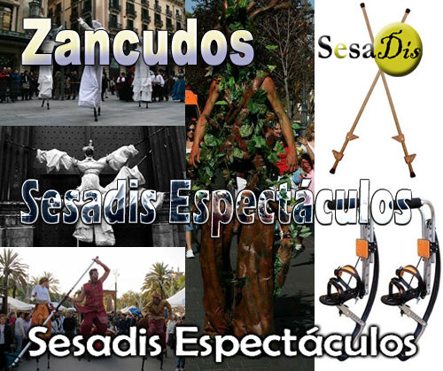 zancudos y zancos sesadis 2