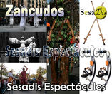 zancudos y zancos Sesadis foto 2