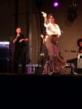 Espectáculo flamenco Acebuche foto 2