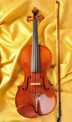 clases particulares de violín 0