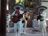 Mariachi de cuernavaca