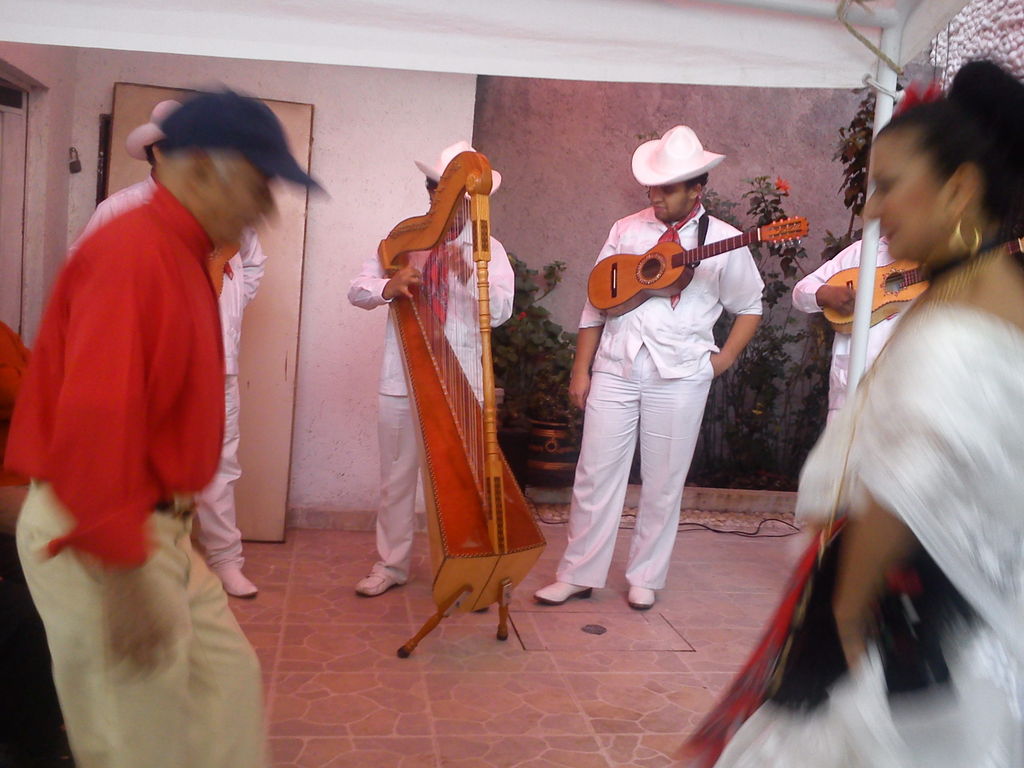 sones jarochos, grupo jarocho, 0