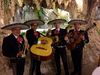 MARIACHIS EN ALICANTE MURCIA Y ALMERIA A 658070255