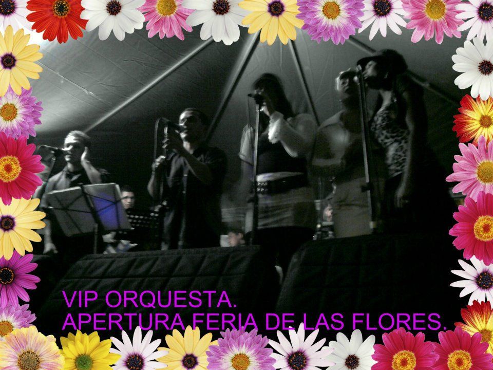 vip orquesta  1