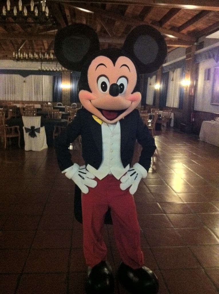 fiesta infantil mickey mouse 0
