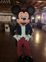 Fiesta Infantil Mickey Mouse
