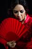 Fotos de Tauro Flamenco Espectáculos 0