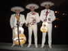 Mariachi Mex