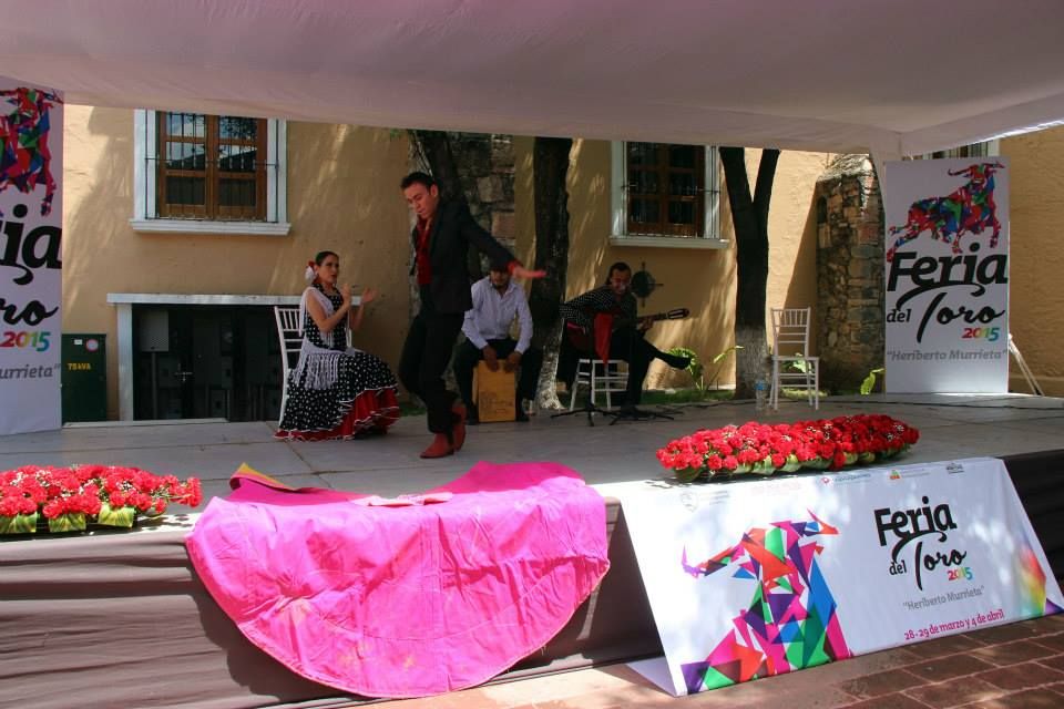 flamenco en querÉtaro 0