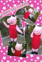 Show de pepa pig