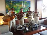 MARIACHIS EN ALICANTE MURCIA Y ALMERIA A 658070255_1