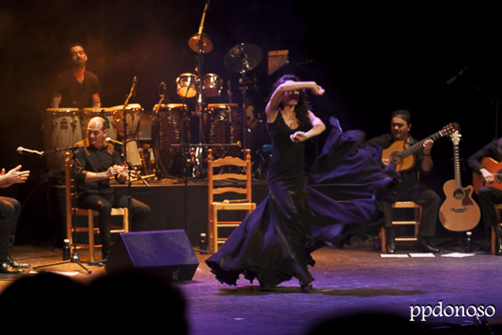 flamenco pura sangre 0